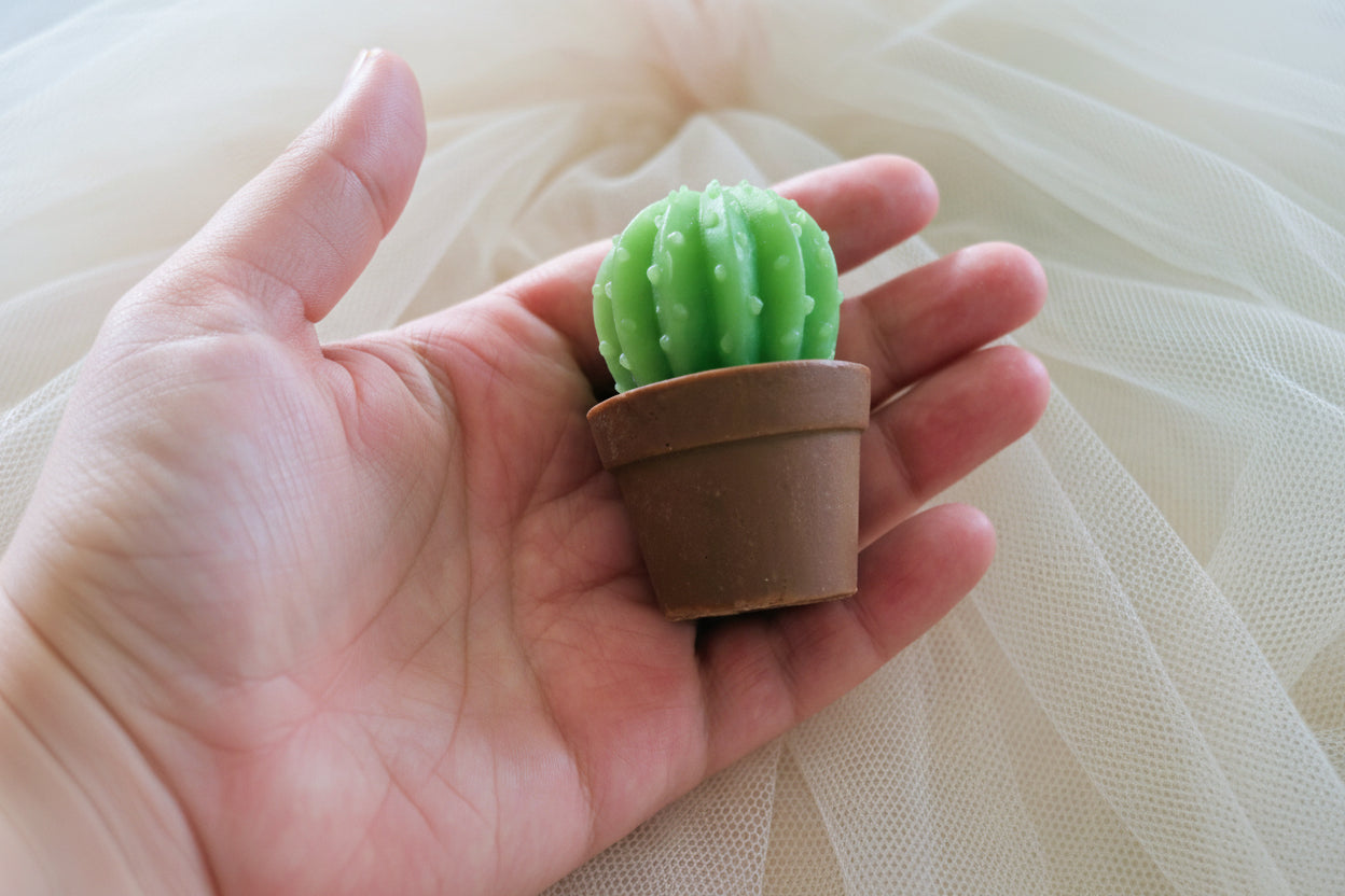 Handcrafted Cactus Soap Favors | Low Maintenance, High Love | Succulent Party & Wedding Guest Gifts