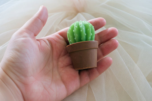 Cactus Soap Favors - Let Love Grow | Succulent Party| Wedding| Guest Gifts