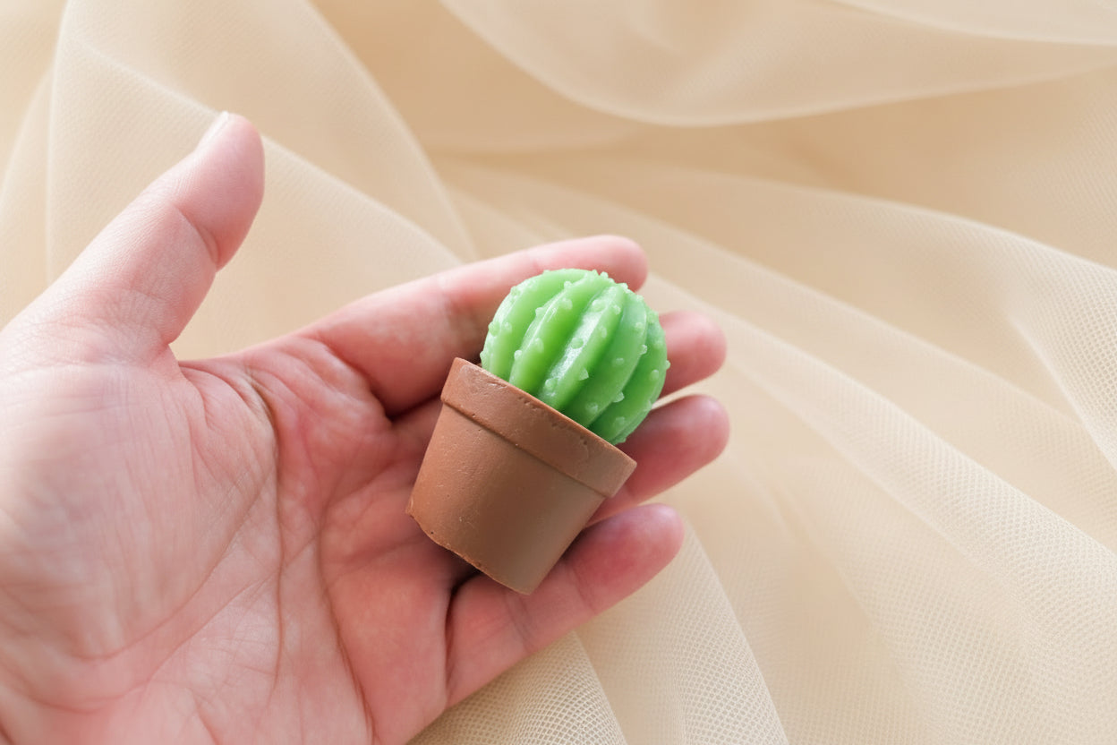 Handcrafted Cactus Soap Favors | Low Maintenance, High Love | Succulent Party & Wedding Guest Gifts