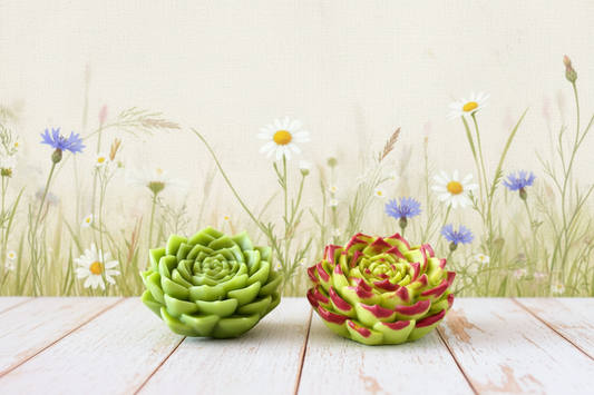 Succulent Soap Favors – Bridal Shower| Baby Shower |Birthday Party|Thank You|Guest Gift