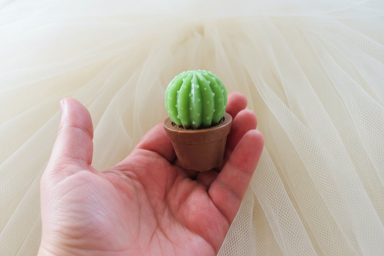 Handcrafted Cactus Soap Favors | Low Maintenance, High Love | Succulent Party & Wedding Guest Gifts
